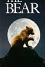 Watch The Bear - (L'ours) Vodlocker