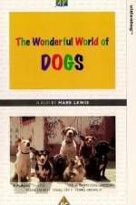 Watch The Wonderful World of Dogs Vodlocker