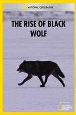 Watch The Rise of Black Wolf Vodlocker