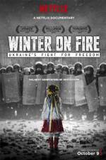 Watch Winter on Fire Vodlocker
