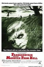 Watch Frankenstein and the Monster from Hell Online Vodlocker