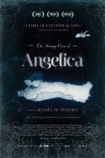 Watch The Strange Case of Angelica Vodlocker