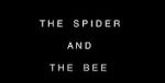 Watch The Spider and the Bee Vodlocker