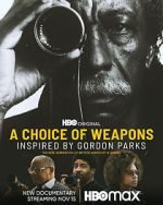 Watch A Choice of Weapons: Inspired by Gordon Parks Vodlocker