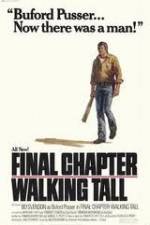 Watch Final Chapter Walking Tall Vodlocker
