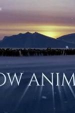 Watch Snow Animals Vodlocker