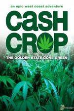 Watch Cash Crop Vodlocker