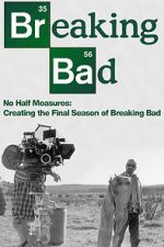 Watch No Half Measures: Creating the Final Season of Breaking Bad Vodlocker