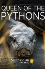 Watch Queen of the Pythons Online Vodlocker