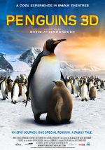 Watch Penguins Vodlocker
