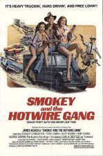 Watch Smokey and the Hotwire Gang Vodlocker