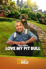 Watch Cesar Millan: Love My Pit Bull Vodlocker
