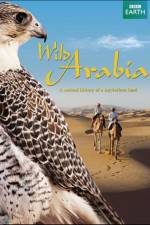Watch Wild Arabia Vodlocker