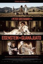 Watch Eisenstein in Guanajuato Vodlocker