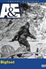 Watch A&E Ancient Mysteries - Bigfoot Vodlocker