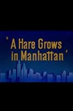 Watch A Hare Grows in Manhattan Vodlocker