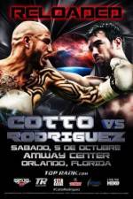 Watch Miguel Cotto vs Delvin Rodriguez Vodlocker