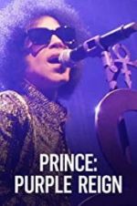Watch Prince: A Purple Reign Vodlocker