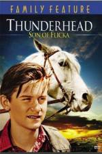 Watch Thunderhead - Son of Flicka Vodlocker
