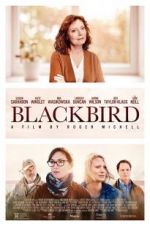 Watch Blackbird Vodlocker
