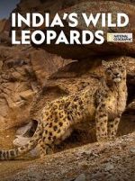 Watch India\'s Wild Leopards (Short 2020) Vodlocker