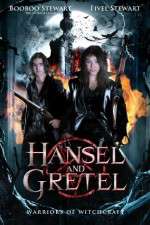 Watch Hansel & Gretel: Warriors of Witchcraft Vodlocker