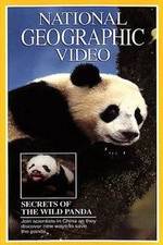 Watch Secrets of the Wild Panda Vodlocker