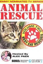 Watch Animal Rescue, Volume 2: Best Cat Rescues Vodlocker