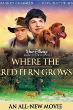 Watch Where the Red Fern Grows Vodlocker