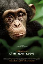 Watch Chimpanzee Vodlocker