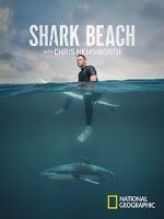 Watch Shark Beach with Chris Hemsworth (TV Special 2021) Vodlocker