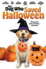 Watch The Dog Who Saved Halloween Vodlocker