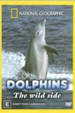 Watch Dolphins: The Wild Side Vodlocker