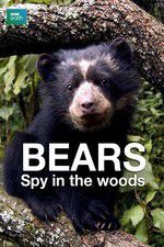 Watch Bears: Spy in the Woods Vodlocker