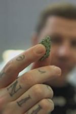 Watch Professor Green: Is It Time to Legalise Weed? Vodlocker