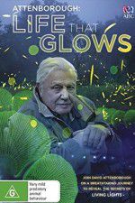 Watch Attenborough\'s Life That Glows Vodlocker
