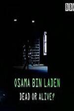 Watch The Final Report Osama bin Laden Dead or Alive Vodlocker