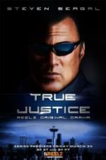 Watch True Justice: Brotherhood Vodlocker