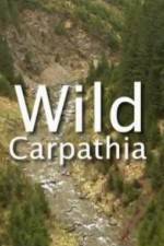 Watch Wild Carpathia Vodlocker