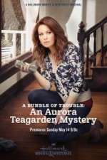 Watch A Bundle of Trouble: An Aurora Teagarden Mystery Vodlocker