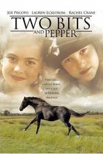 Watch Two Bits and Pepper Vodlocker