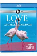 Watch Nature: Love in the Animal Kingdom Vodlocker