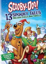 Watch Scooby-Doo: 13 Spooky Tales - Holiday Chills and Thrills Vodlocker