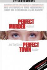 Watch Perfect Murder Perfect Town JonBenet and the City of Boulder Vodlocker