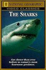 Watch National Geographic The Sharks Vodlocker
