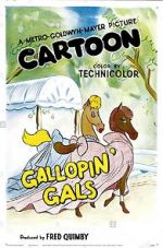 Watch Gallopin\' Gals Vodlocker