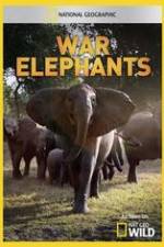 Watch War Elephants Vodlocker