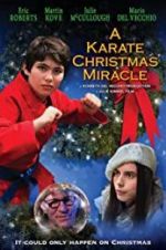 Watch A Karate Christmas Miracle Vodlocker