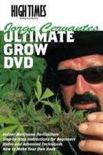 Watch High Times: Jorge Cervantes Ultimate Grow Vodlocker