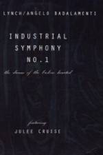 Watch Industrial Symphony No 1 The Dream of the Brokenhearted Vodlocker